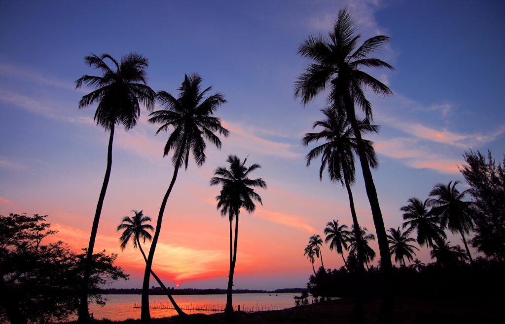 pexels-photo-461940-461940 Stunning tropical sunset with silhouetted palm trees and vibrant sky colors.